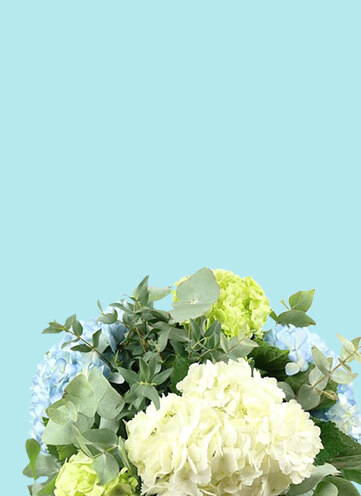 Same day Flowers Richmond upon Thames